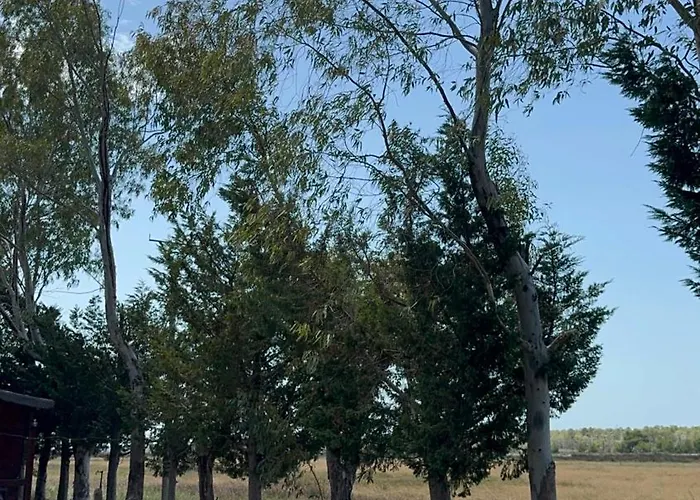 Laguna Park *