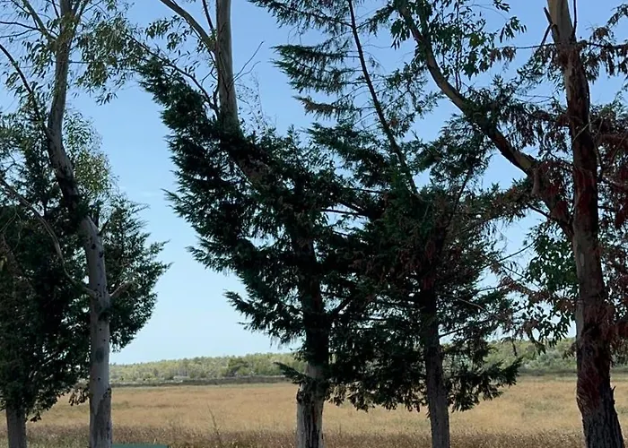 Casa de hóspedes Laguna Park